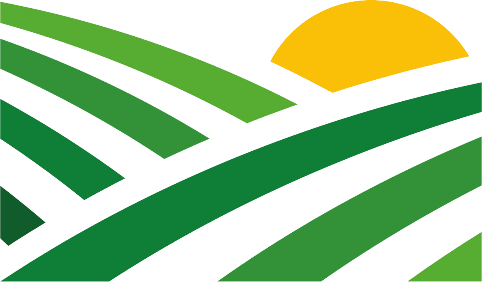loader image